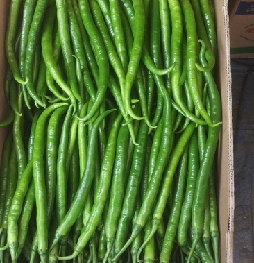 [线椒批发]精品8号线椒价格2.50元/斤 - 一亩田