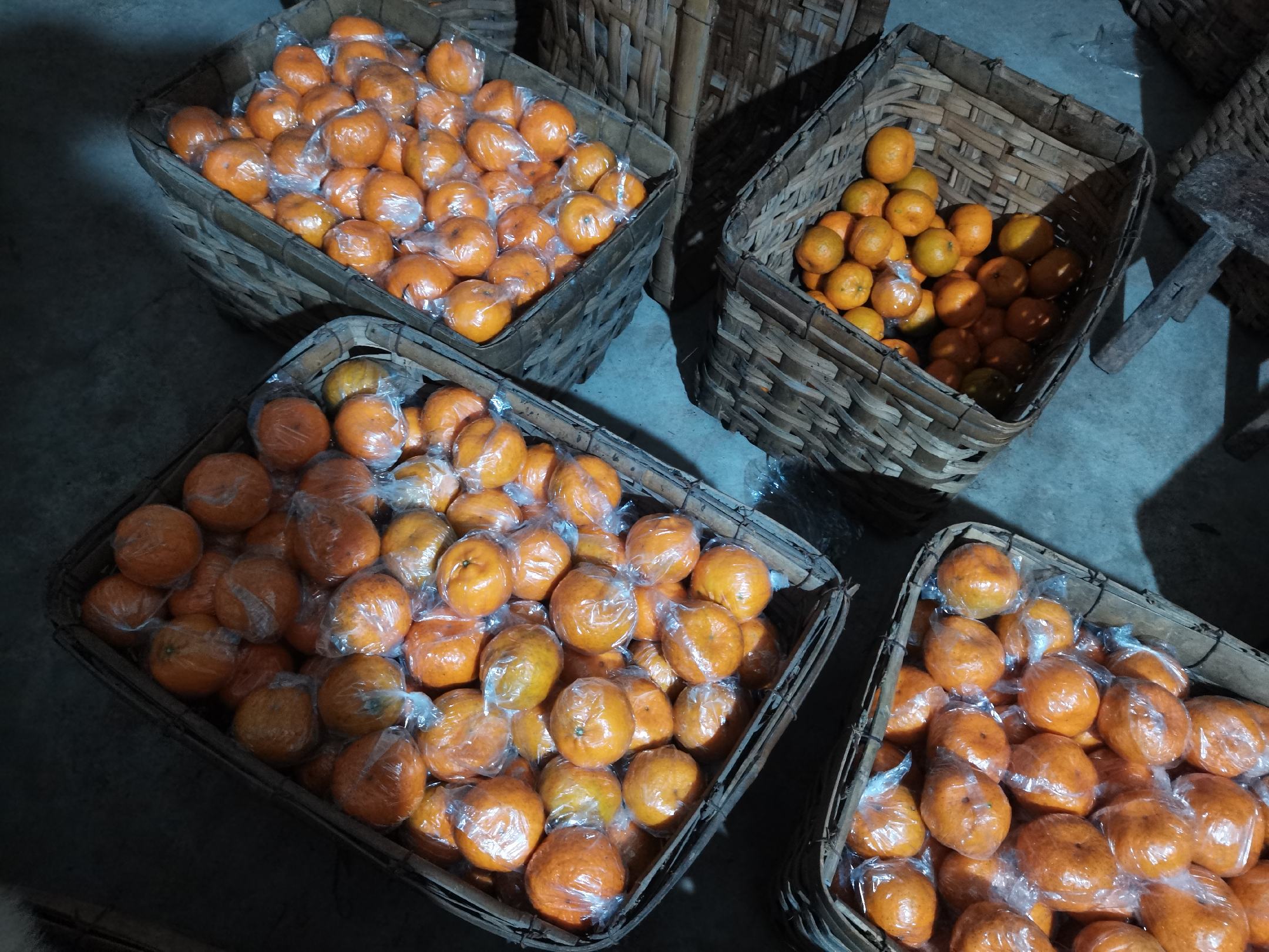 橙子在竹篮中单层摆放