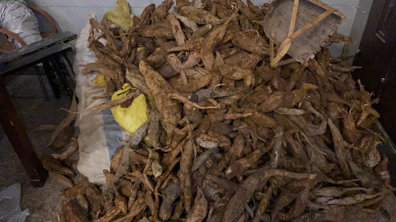 粉葛用量与人群分类图示