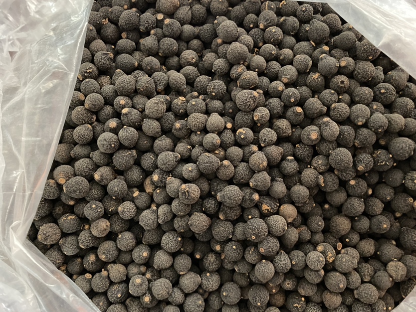 干金桔的选购技巧