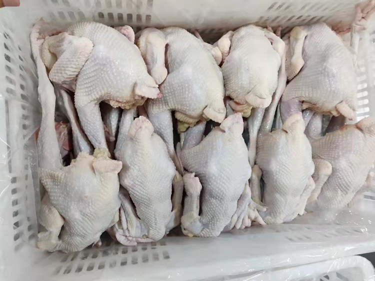 高清特写:新鲜带骨鸡全腿表面划刀处理完成,旁边并列摆放干燥的斜切马蹄状大葱段,两者均被厨房纸吸干水分,案板洁净无水渍 鸡腿大葱预处理特写