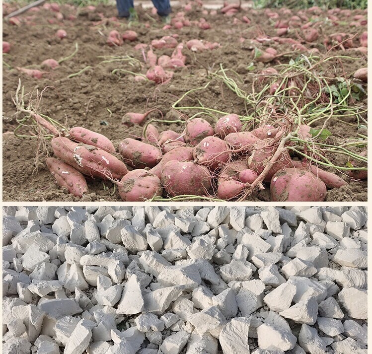 香芋地瓜丸制作过程