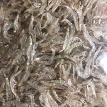 虾皮干