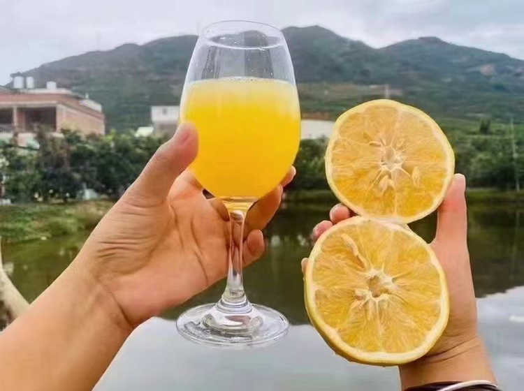 红宝石葡萄柚加工产品展示图