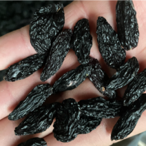 精品黑美人葡萄干品质有保证欢迎老板下单本地货