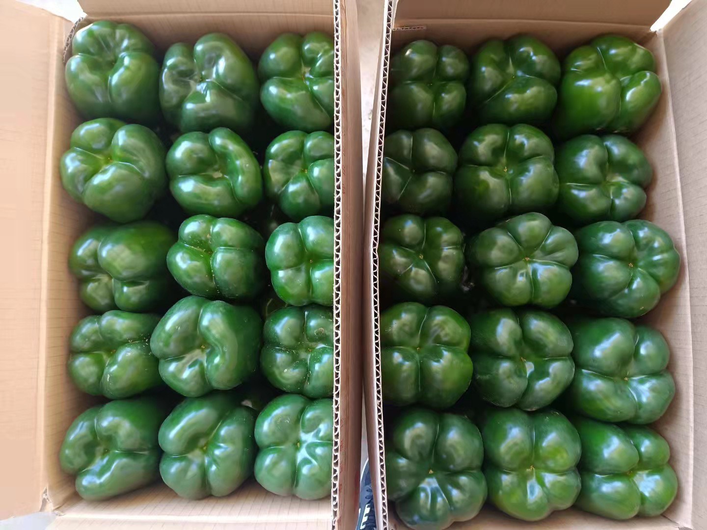 束椒包装与零售展示图