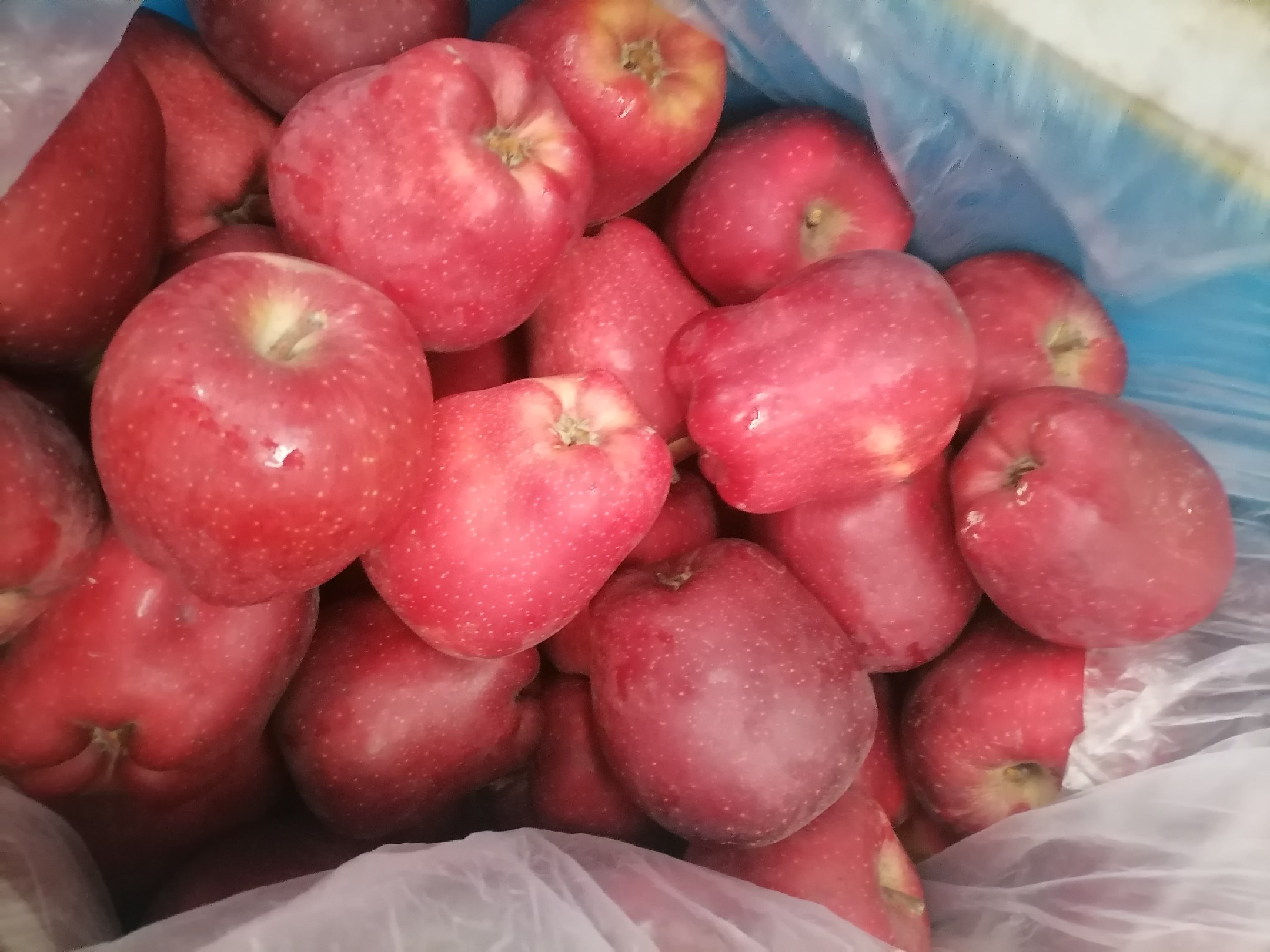 花牛苹果整体外观,展示其饱满红润的果形与自然条纹 花牛苹果整体外观