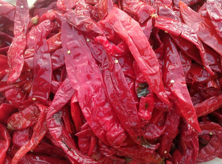 泡椒鱼腥草根成品图