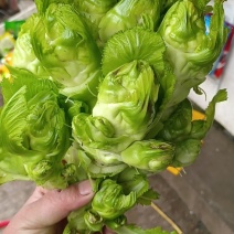 儿菜
