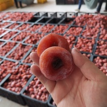 电商中小饼广西桂林柿饼圆饼产地大饼特饼大量有货便宜