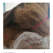 纯手工粉丝