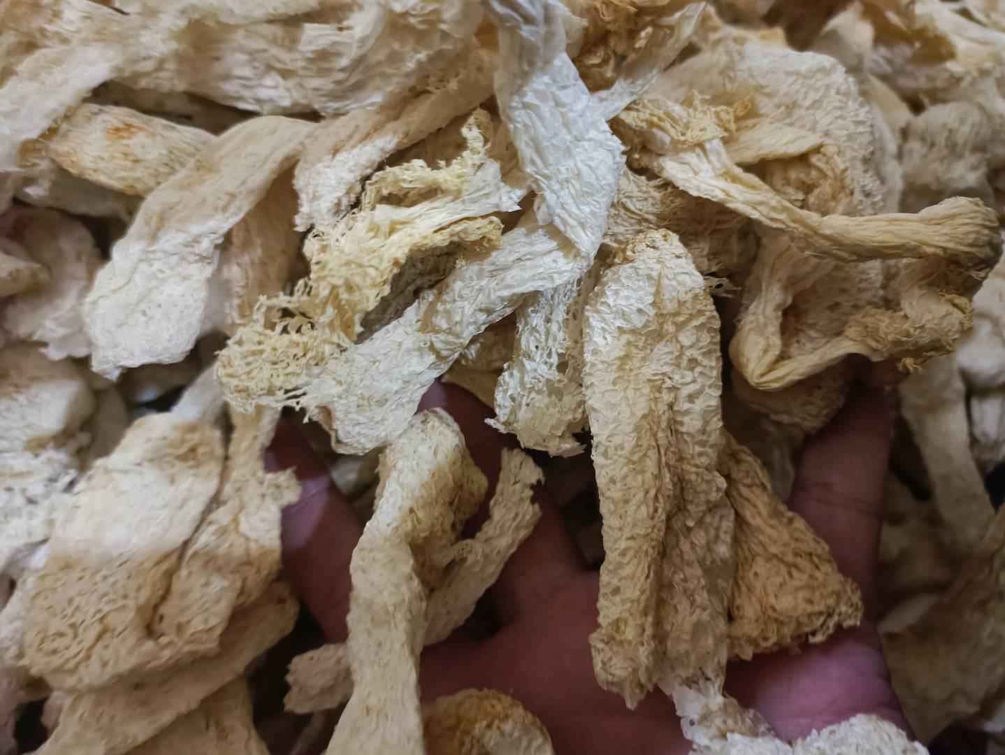 长裙竹荪干品分级展示图