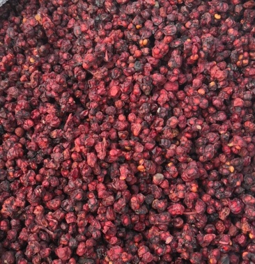 辽五味子油籽纯自然无硫