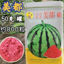 正宗美都西瓜种子红瓤耐裂超8424超甜露地大棚美都