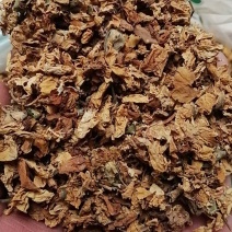 白残花蔷薇花野蔷薇刺花蔷蘼各种冷背货