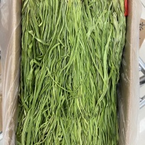 贡菜，色泽鲜绿，质地爽口，清乾隆年间曾是进贡产品