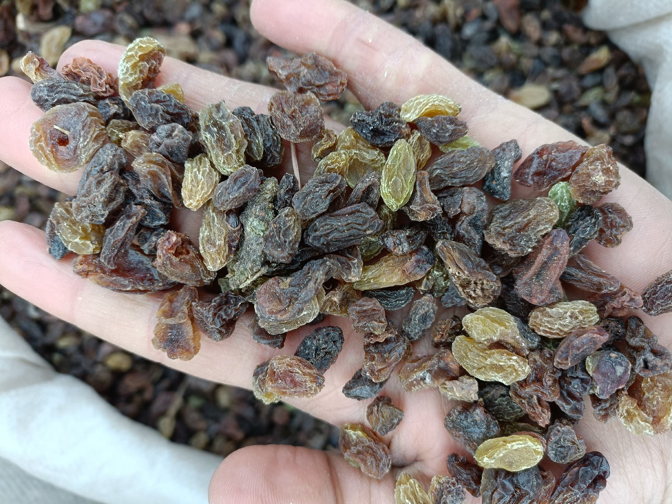 吃了葡萄不舒服