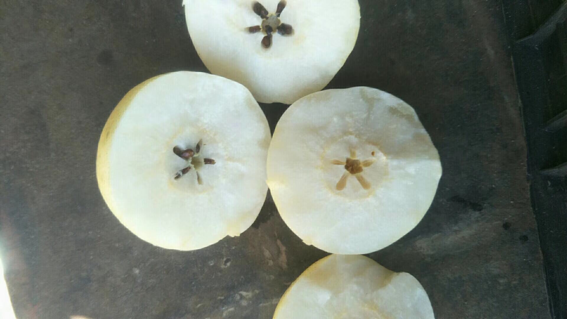 一个被横向切开的苹果鸭梨,露出洁白细腻的果肉和清晰的梨核结构,汁水饱满,果肉纹理分明,背景为木质砧板和绿叶衬托 苹果鸭梨切开特写