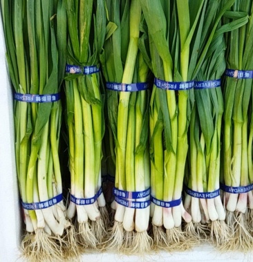 [蒜苗批发]精品箱装蒜苗价格80.00元/件 - 一亩田