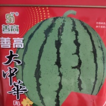 善高大中华西瓜种子，果皮深绿色，