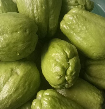 新鲜佛手瓜洋瓜吊瓜棚瓜大量上市