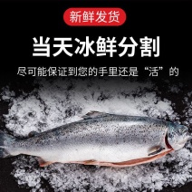 4-6斤三文鱼鱼柳中段冰鲜三文鱼整条批发一手货源货源充足