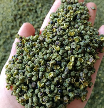 精品诚信商家重庆青花椒一手货源产地直销量大优惠