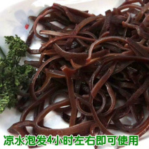【厂直营】木耳丝代发螺蛳粉餐饮等专用全国发货