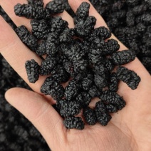 黑桑葚干各种规格水洗甜干净新货各种中药材