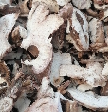 [白芍批发]熟白芍狗头片子价格10.00元/公斤 - 一亩田