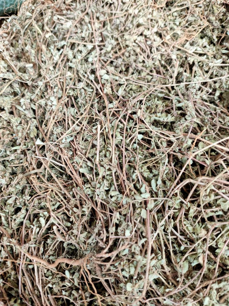 中药材 地锦草 小飞扬草 天然纯新货 铁线草 奶汁草