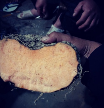 [魔芋批发]磨芋头价格3.60元/公斤 - 一亩田