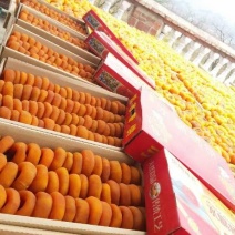 优质农产品，天然风干柿饼