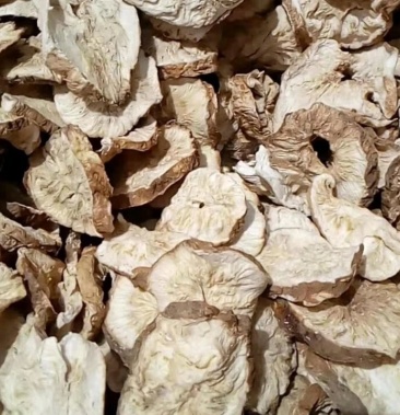 河北基地直供烘干菊苣丁菊苣片生晒菊苣干片菊苣根丁大量上