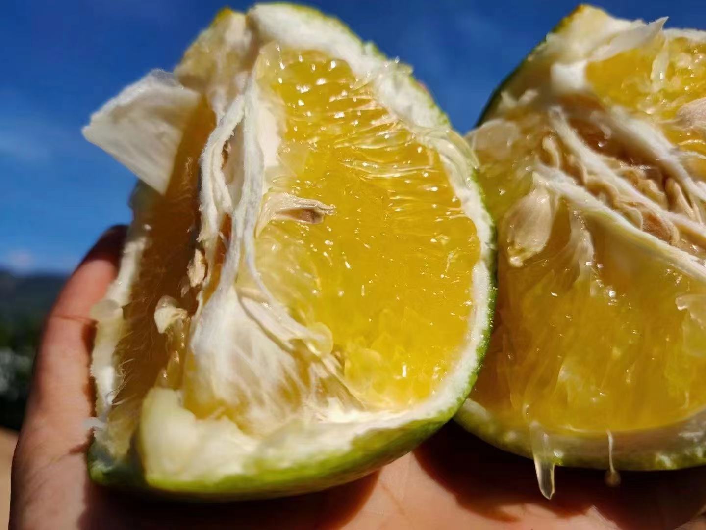 牛奶葡萄柚果实特写