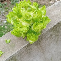 买货