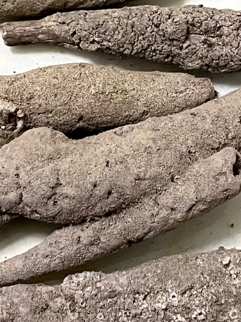 紫梢花紫霄花大量出售