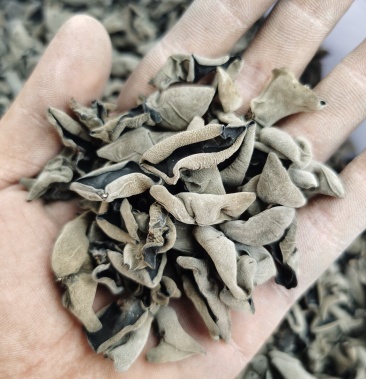 东北黑木耳碗耳云耳新货大量上市量大从优一手货源