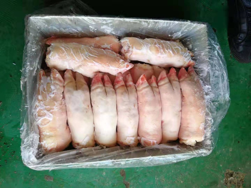 蟹粉豆腐冻成品:4块2cm见方冻体排列成田字格,冻体半透明带细微气孔,表面蟹黄粒直径约4mm、油润反光;深蓝粗陶碟边缘有手工拉坯痕迹;左上角露出琼脂粉袋(白色包装印蓝色‘Agar-Agar’字样)及数字温度计屏幕特写,显示‘4.2℃’ 蟹粉豆腐冻切件特写:冰晶质感的浅黄色豆腐冻切成整齐方块,每块顶面嵌1颗饱满橙红蟹黄粒,盘底衬深蓝粗陶碟,背景虚化处可见琼脂粉包装袋与温度计显示4.2℃