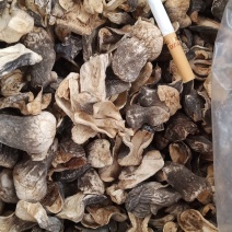 自种的草菇