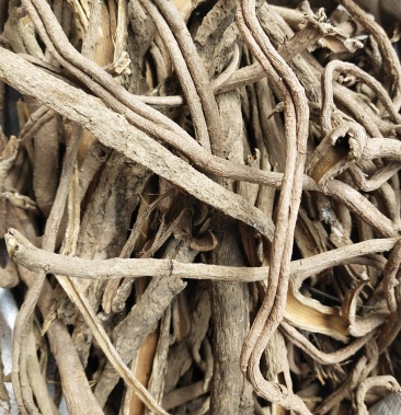 [三加皮批发]野生三加皮根价格27.50元/公斤 - 一亩田