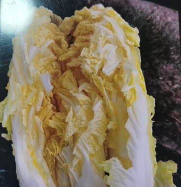 娃娃菜100亩大娃娃小娃娃菜都有价格不高可以看货