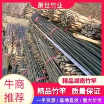 湖南批发竹竿自产自销豆角，黄瓜，西红柿架等属于通货规格