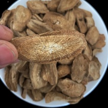 （新年大促）山东特级牛蒡黄金牛蒡茶七天无理由退换货牛蒡茶