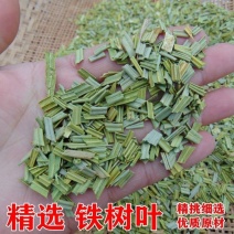 中药材铁树叶铁树花无硫干货不满意可退换货
