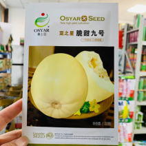 脆甜九号甜瓜种子一代杂交早熟薄皮甜瓜品种高抗病毒