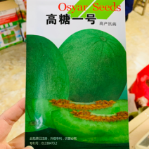 奥甜高糖一号甜瓜种子早熟绿皮绿肉甜瓜种籽糖度高薄皮早熟