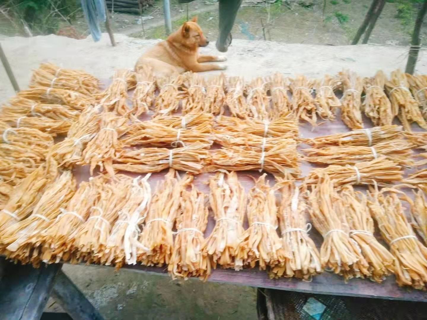 精美礼盒装与真空小包装的化州市笪桥镇黄瓜干产品陈列,背景为中国地理标志商标图案,突出品牌化与高端化形象 成品包装展示图