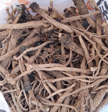 [板蓝根批发]板蓝根价格11.00元/斤 - 一亩田