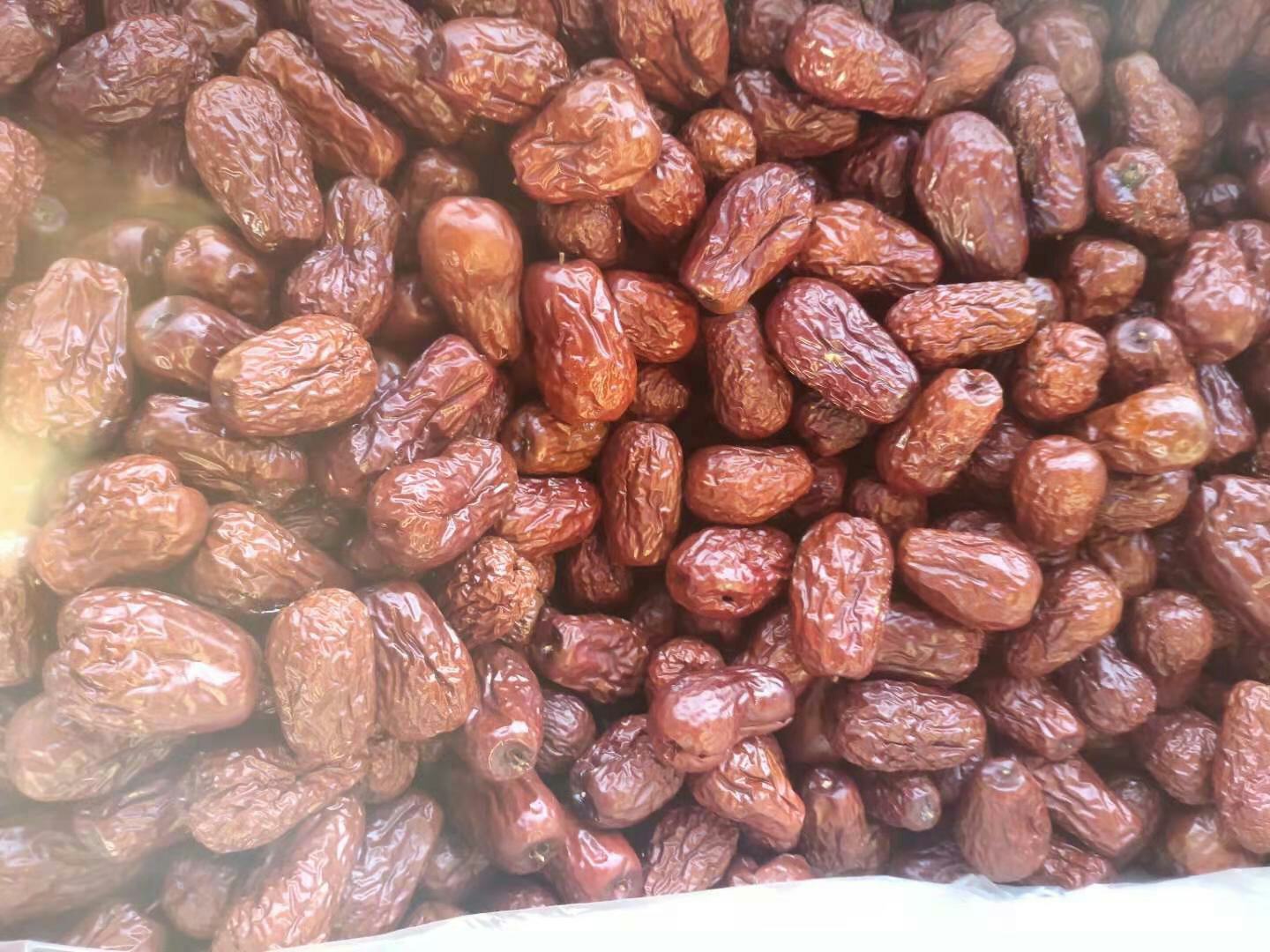 骏枣与其他红枣品种对比图